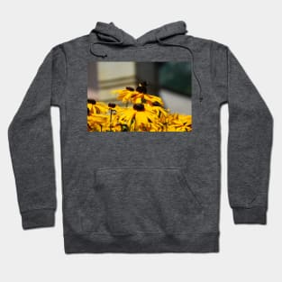 Bee on Rudbeckia Flowers Hoodie